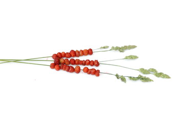 Strawberry straw on white background