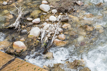 Landscape with forest, river and stones in Turkey