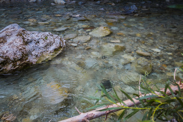 Cool, crystal, clear, shallow mountain river with emerald tint.