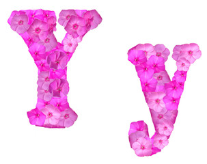 letter of the alphabet made up of pink phlox flowers