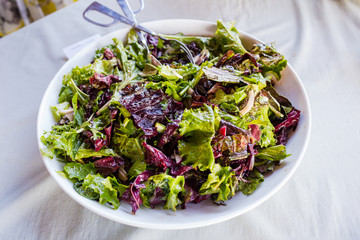 Fresh Cabbage Salad