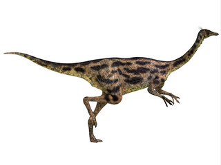 Gallimimus Profile - Gallimimus was an omnivorous dinosaur that lived in Mongolia during the Cretaceous Period.