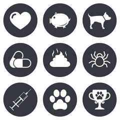 Veterinary, pets icons. Dog paw, syringe signs.