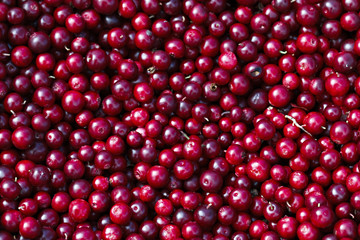 Ripe cranberries for background