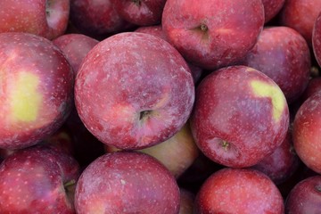 Mele rosse in primo piano