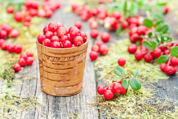 macro image of fresh cowberry on the old moss table