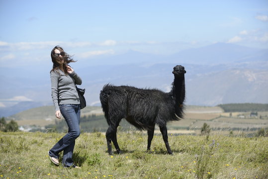 A woman is approaching a llama.
