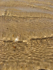 close-up sea beautiful clear beach ripple water