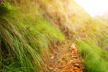 pathway landscape in mountains