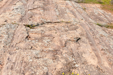 Glacial pavement near Nieuwoudtville
