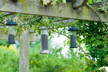 Bird feeders hanging on a garden trellace