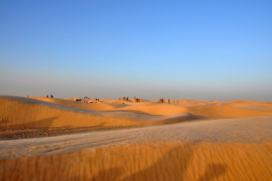 Sunset in the Sahara desert, Tunisia