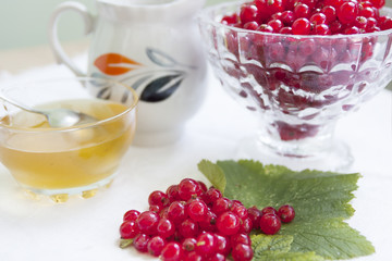 Berries on the table