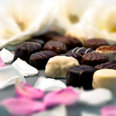 Chocolate truffles and rose petals 02

