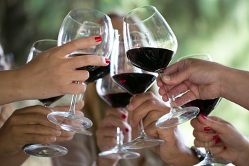 Brindisi con calici di Vino Primitivo di Gioia del Colle