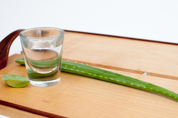 Aloe vera plant