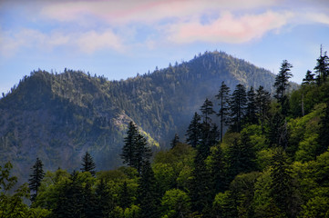 Views of the Great Smokey Mountains National Park USA
