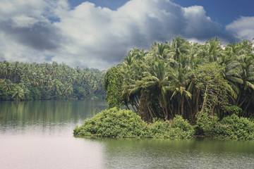 Serene backwaters at Kerala