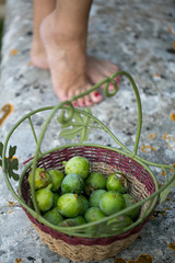 Puglia, cesto di fichi