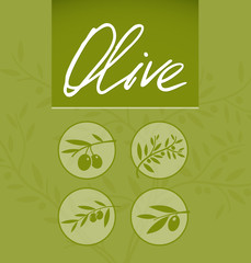 Set of olive icons. Vector elements