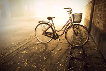 Fototapeta na wymiar Bike in autumn