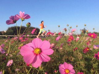 Young girl running with colorful field of cosmos flowers in foreground