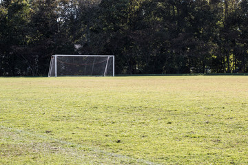 Fototapeta premium Soccer field with background of a soccer goal and trees. 