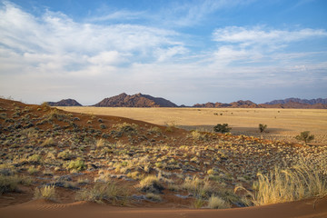Fototapeta na wymiar Deserto del Namib