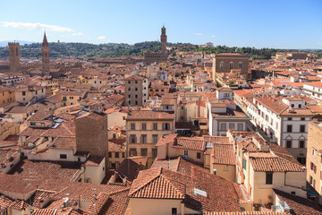 Obraz premium Panoramic view of city of Florence in a sunny summer morning