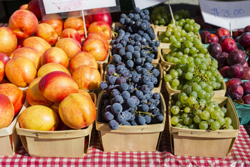 Fruit Baskets on Table with a Red Checkered Table Cloth