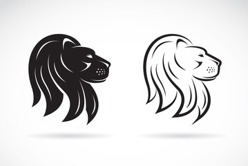 Vector image of an lions head design on white background