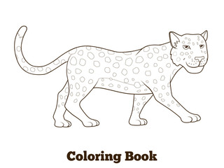 Coloring book leopard african savannah animal 