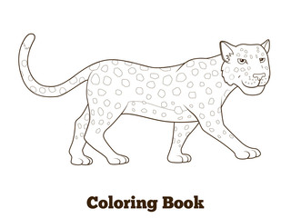 Coloring book leopard african savannah animal 