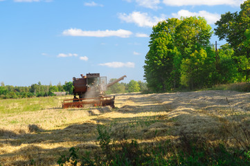 Old soviet combine harvester working in a field