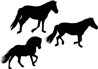 three black running horses on white