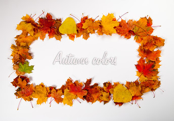 Autumn leaves frame 2