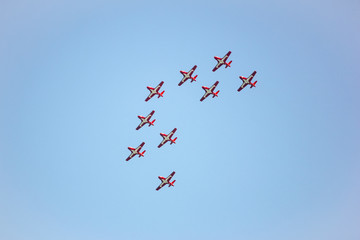 Snowbirds flying formation.