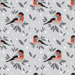 Bullfinches and snow pattern