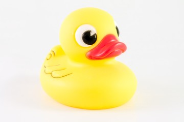 Rubber duck