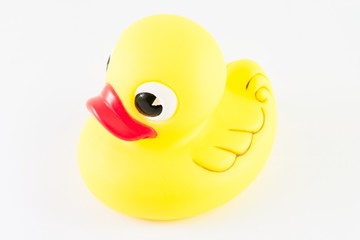 yellow duck