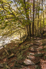 Lavertezzo, Bergdorf, Wanderweg, Valle Verzasca, Verzascatal, Verzasca, Fluss, Kastanienweg, Waldweg, Herbstwanderung, Herbst, Tessin, Schweiz