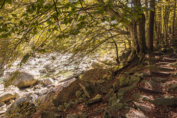 Lavertezzo, Bergdorf, Verzascatal, Valle Verzasca, Verzasca, Fluss, Uferweg, Waldweg, Kastanienbäume, Herbst, Tessin, Schweiz