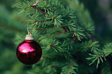 Obraz na płótnie Canvas Christmas toy on a tree