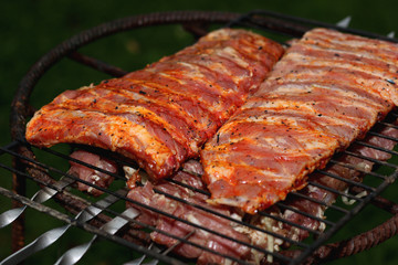 meat skewers on the barbecue coals
