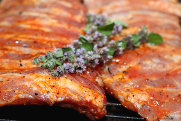 meat skewers on the barbecue coals