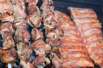 meat skewers on the barbecue coals