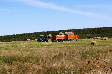 Fototapeta na wymiar field truck tractor harvesting