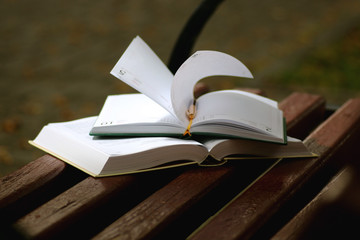 books on a bench in the school year