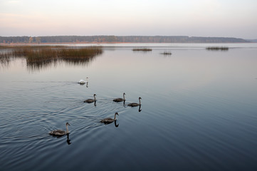 Obraz na płótnie Canvas gradient river, water, lake Yugla, Riga, Latvia