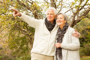 Senior couple in the park